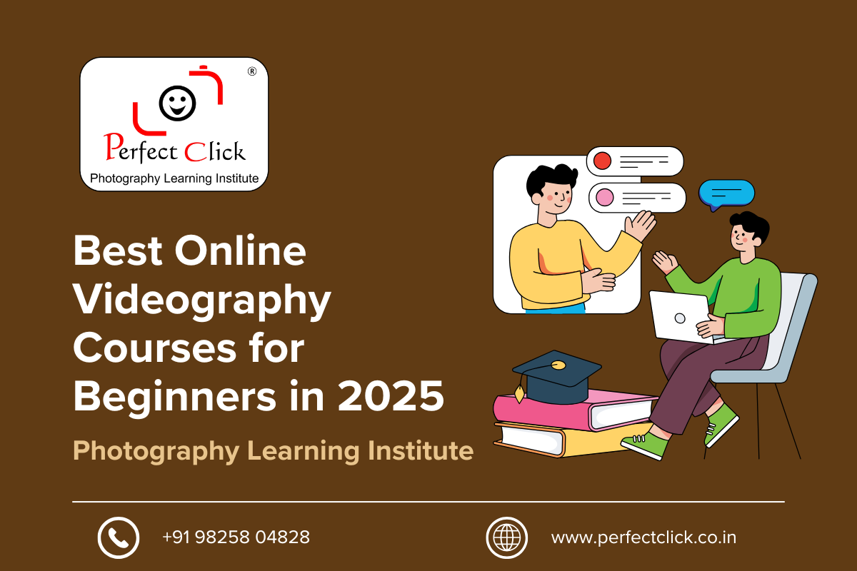 Best Online Videography Courses for Beginners in 2025