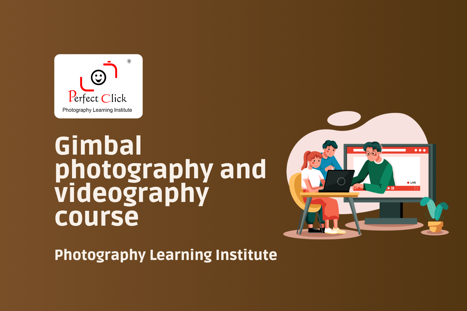 Gimbal photography and videography course