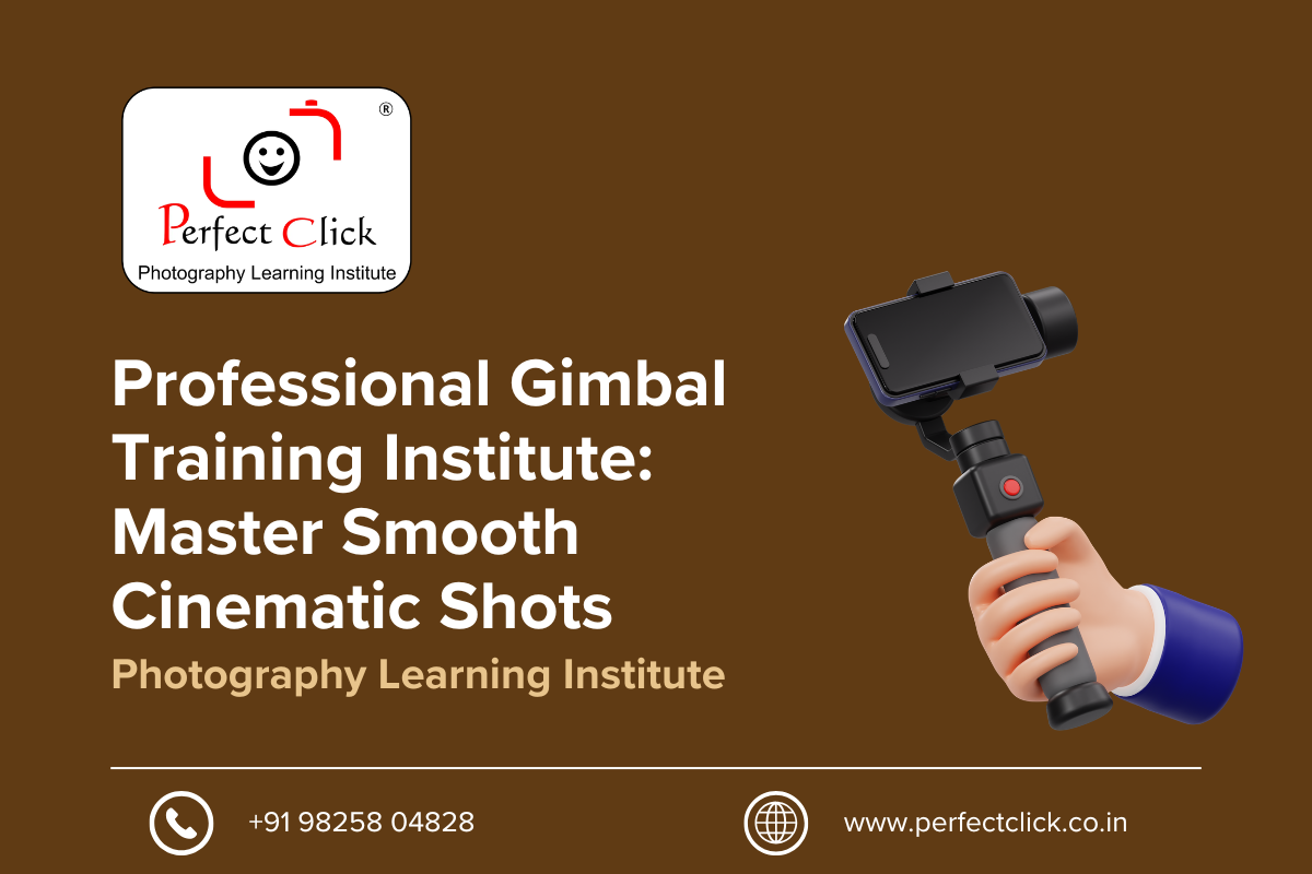 Professional Gimbal Training Institute: Master Smooth Cinematic Shots