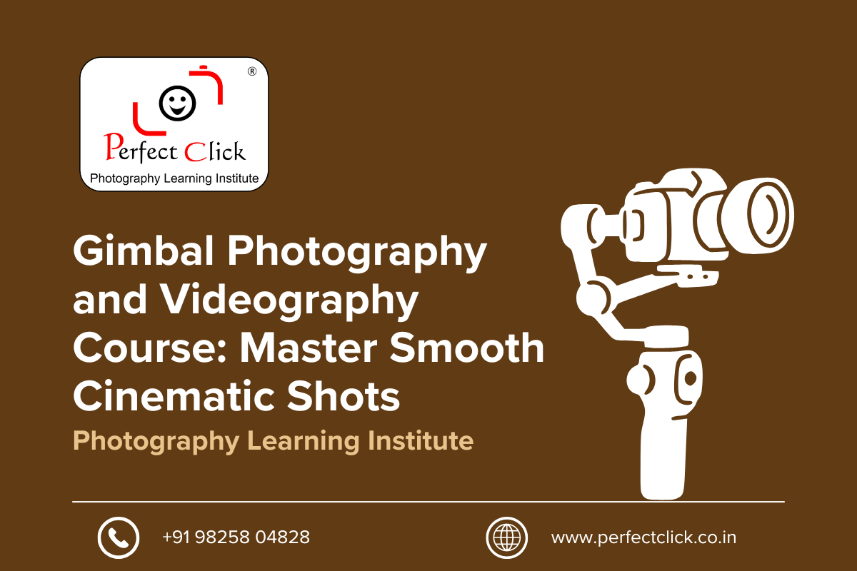 Gimbal Photography and Videography Course: Master Smooth Cinematic Shots