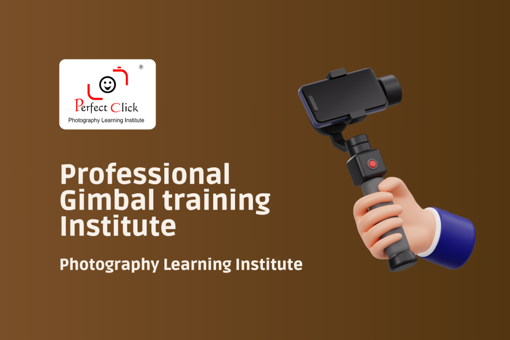 Professional Gimbal training Institute